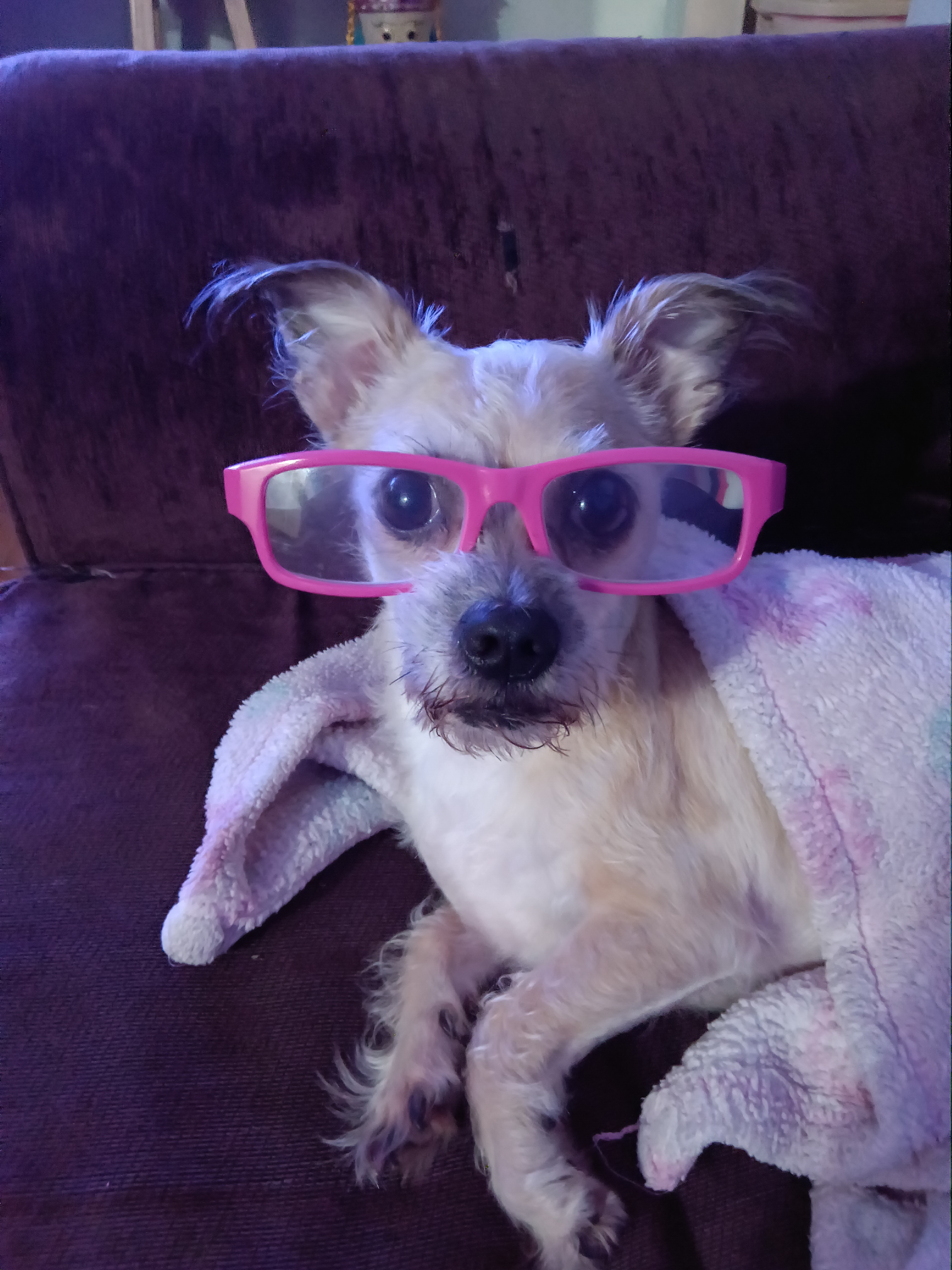 Chica