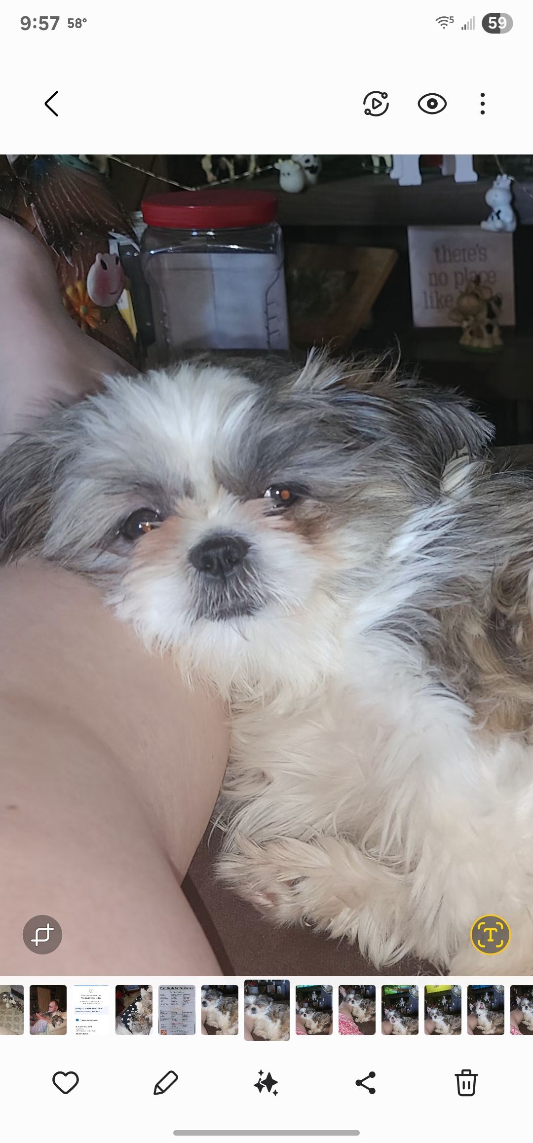 Sadie