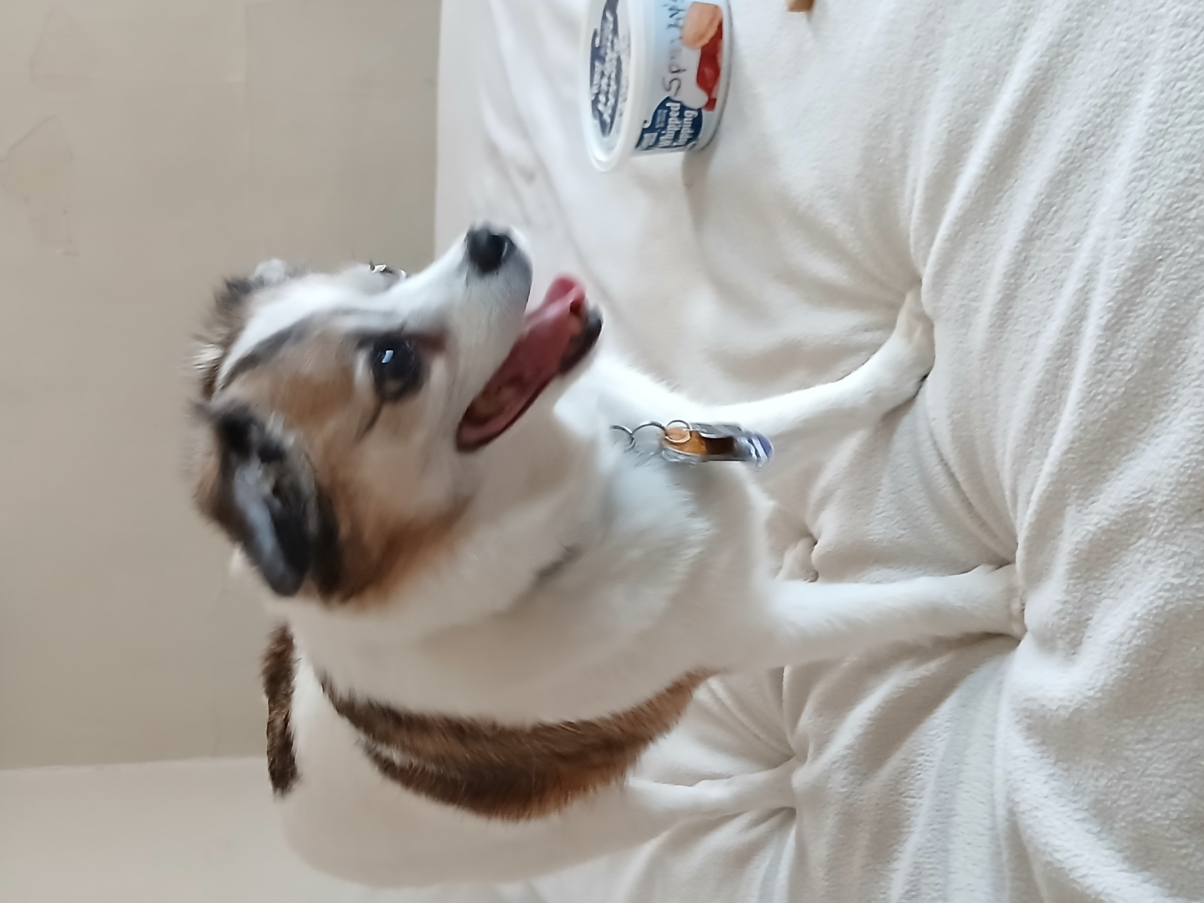 Spunky